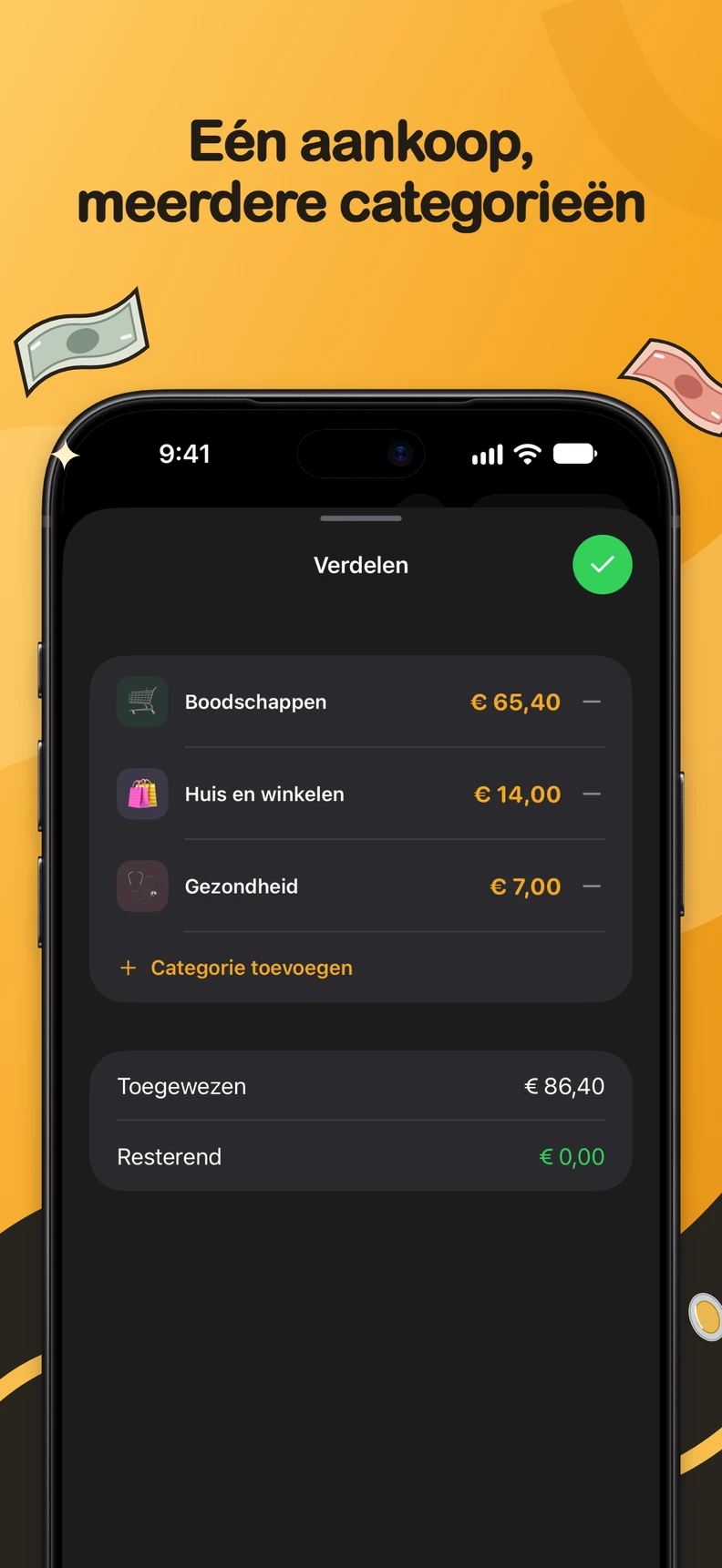 Uitgave over categorieën splitsen